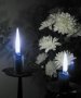 Aromatherapy - what works!