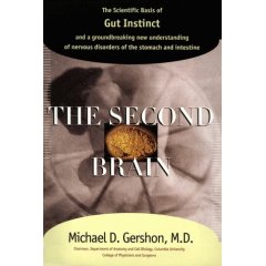 The Second Brain